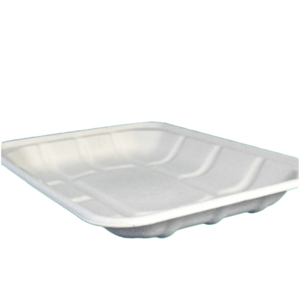 TRAY SP-2D
