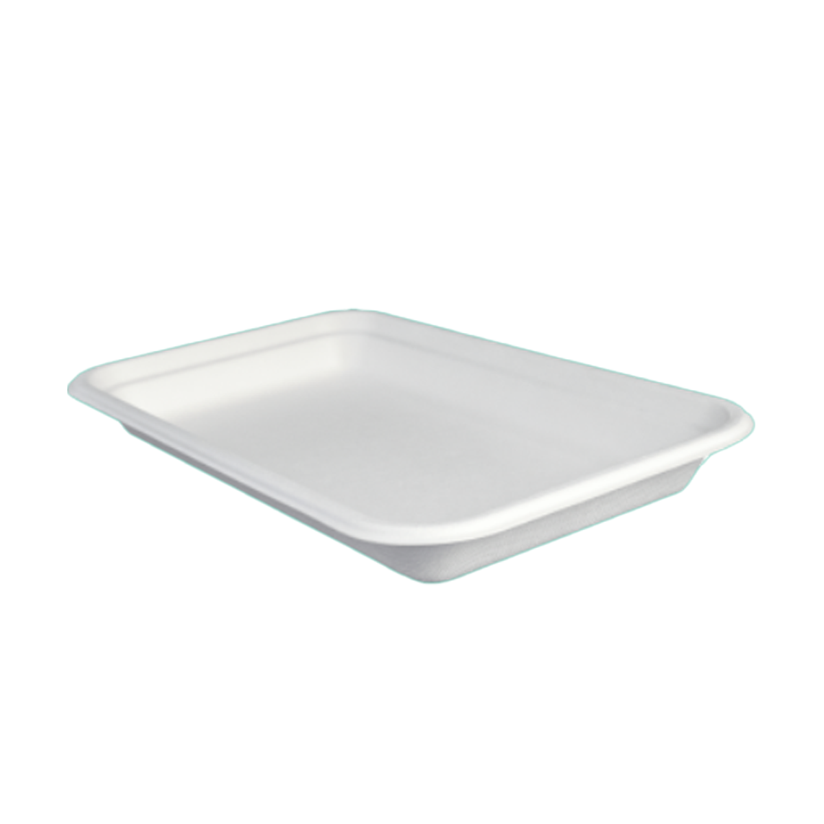 TRAY T003